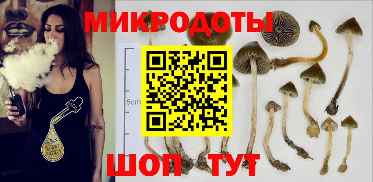 Галлюциногенные грибы MAGIC MUSHROOMS  Вход с VPN  Можайск 